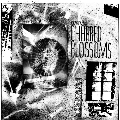 Cyrnai - Charred Blossoms (2018) [Reissue]