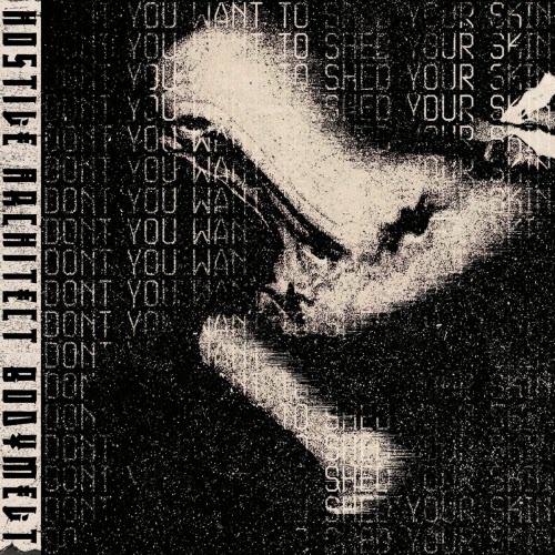 Hostile Architect - Bodymelt (New Flesh Mix) (2025) [Single]
