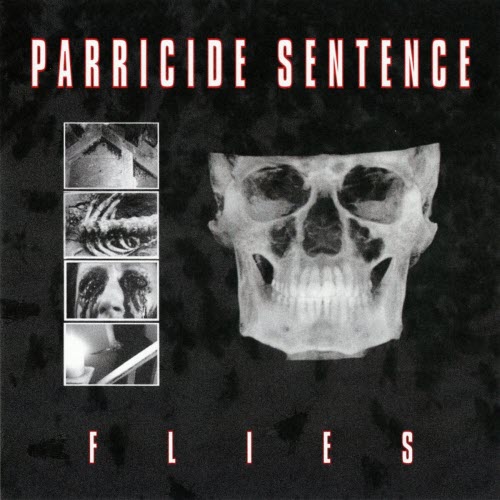 Parricide Sentence - Flies (2025) [EP]