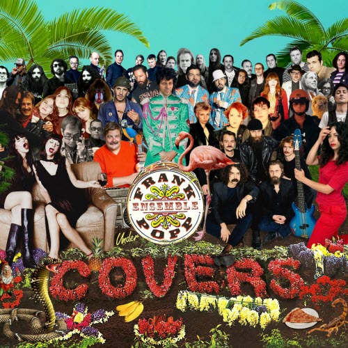 Frank Popp Ensemble - Under Covers (2021)