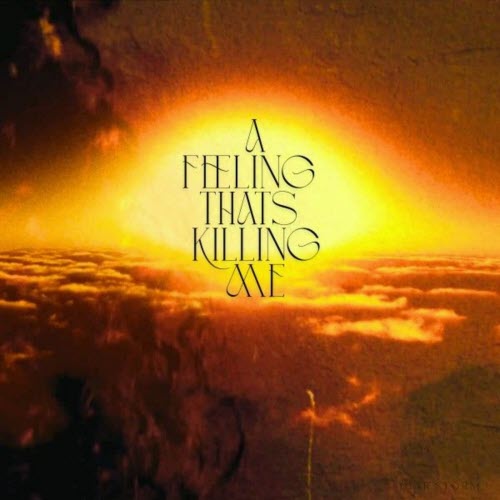 Diar Storm - A Feeling That's Killing Me (2025) [Single]
