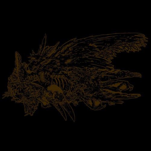 Bird And Beast - Sirens (2017) [Single]