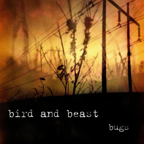 Bird And Beast - Bugs (2025) [Single]