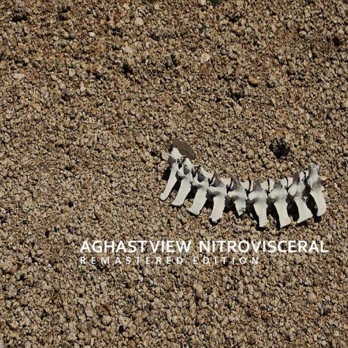 Aghast View - Nitrovisceral (Remastered Edition) (2020) [Remastered]