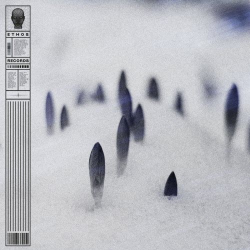 Cwtch - Untamed (2025) [EP]
