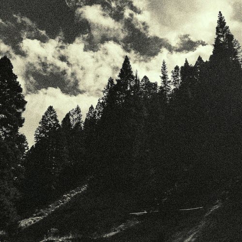 Crímenes De Niños - 1943 (2024) [Single]