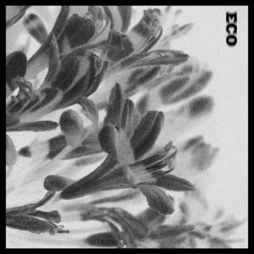 Crímenes De Niños - Eco (2023) [Single]