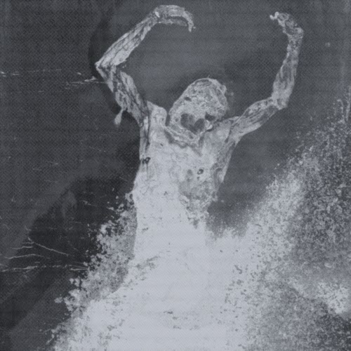Restive Plaggona - Void, Endlessly (2025)
