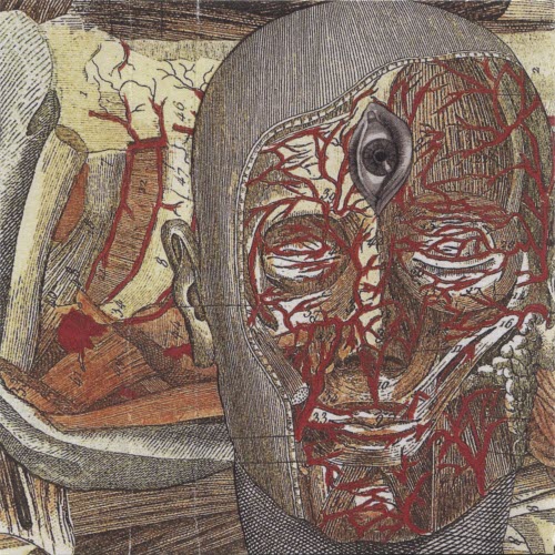 Xiphoid Dementia - Meditation Convulsions (2012)