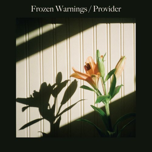 Frozen Warnings - Provider (2025) [EP]