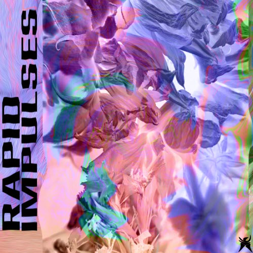 VA - Rapid Impulses (2025)