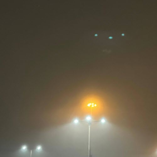 Frail Chain - Poison Berry (2025) [Single]