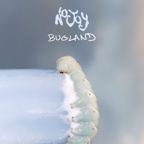 No Joy - Bugland (2025) [Single]