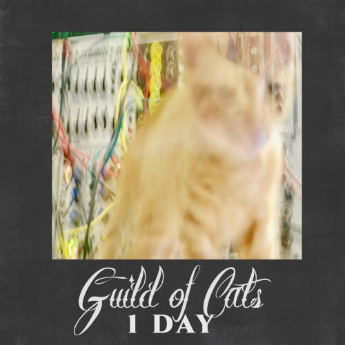 Guild Of Cats - 1 Day (2019) [Single]