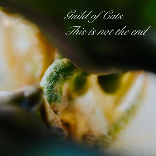 Guild Of Cats - This Is Not The End (2022) [Single]