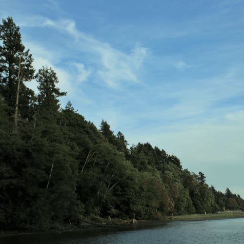 Creek - Hindsight (2022) [Single]