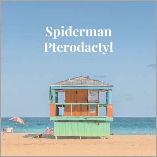 Spiderman Pterodactyl - Spiderman Pterodactyl (2019) [EP]