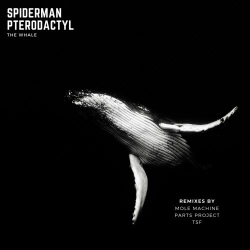 Spiderman Pterodactyl - The Whale (2022) [EP]
