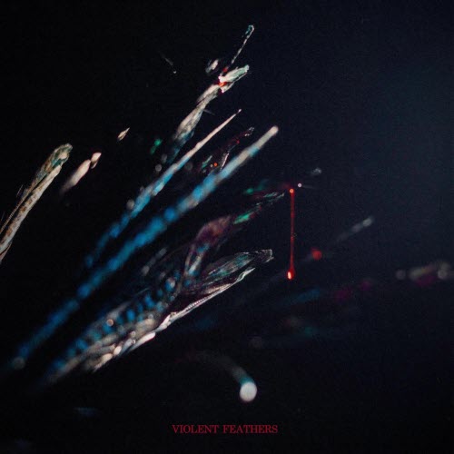 Spiralist - Violent Feathers (2025)