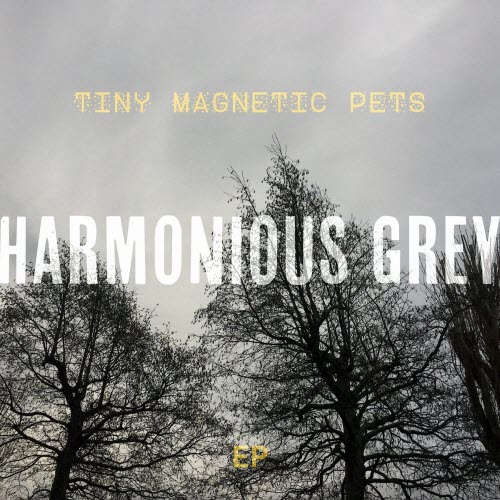 Tiny Magnetic Pets - Harmonious Grey (2025) [EP]