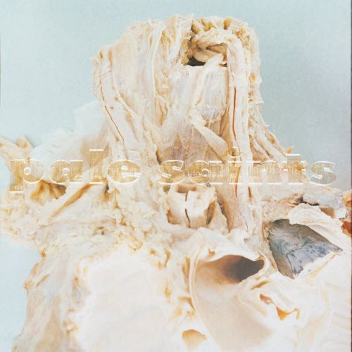 Pale Saints - In Ribbons (30th Anniversary Reissue) (2023) [2CD]