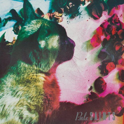 Pale Saints - The Comforts Of Madness (30th Anniversary Reissue) (2020) [2CD]