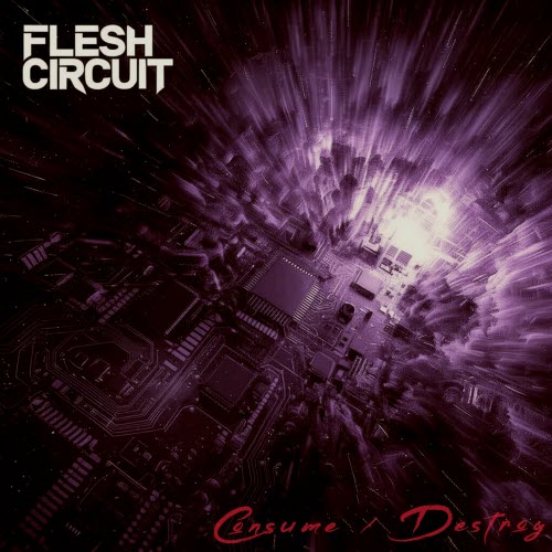 Flesh Circuit - Consume / Destroy (Demo) (2025) [EP]