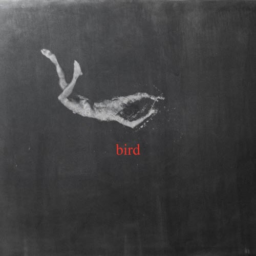 Low Island - Bird (2025)