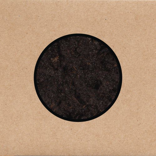 Swans - Birthing (2025)