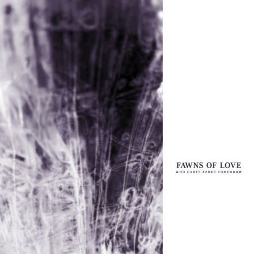 Fawns Of Love - Who Cares About Tomorrow (2024 Version) (2025)