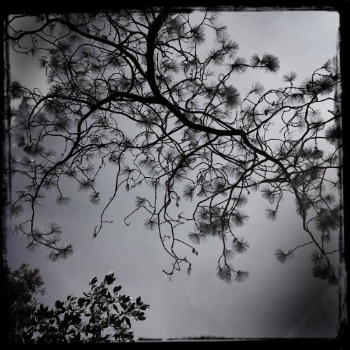 Dirk Serries - Treasure Of Stars (Streams Of Consciousness) (2025)