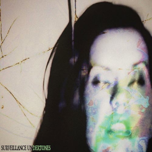 Oddly Shrugs - Surveillance Undertones (2023) [Single]