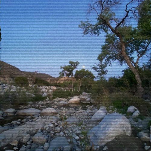 VickVapors - Better Someday (2025) [Single]
