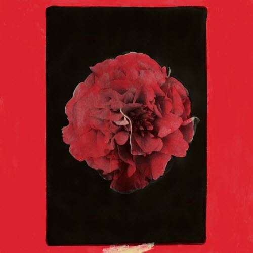 Activity - A Thousand Years In Another Way (2025)