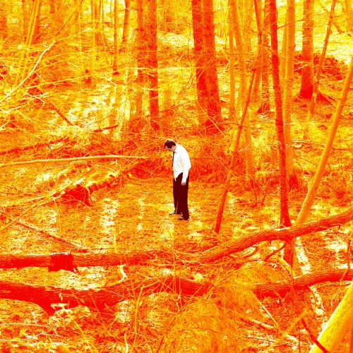 Rothco - Fools Gold (2025) [EP]