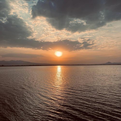 Bass Linger & Vilevo - Sometimes (2025) [Single]