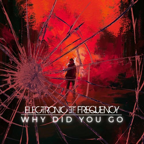 Electronic Frequency - Why Did You Go (2025) [Single]