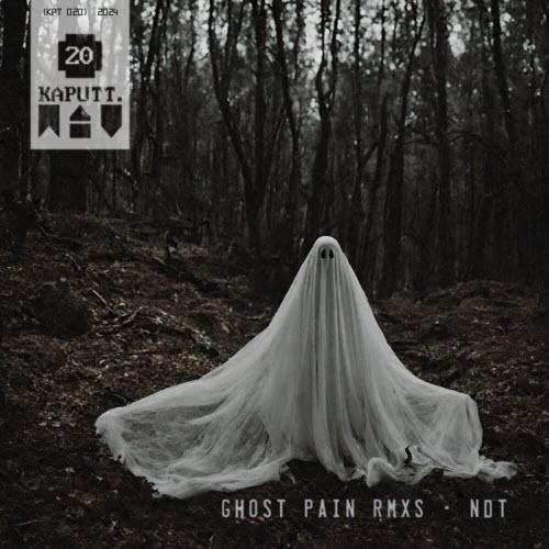 Nuclear Digital Transistor - Ghost Pain Rmxs (2024) [EP]