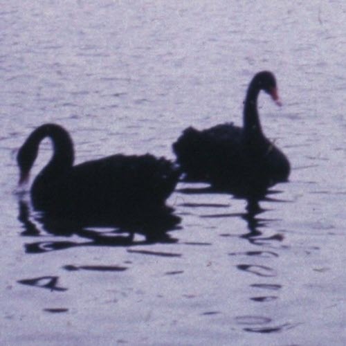 SKUPPIN - Helles Licht / Dunkler Raum (2025) [Single]