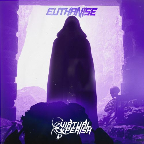 Virtual Perish - Euthanise (2025) [Single]