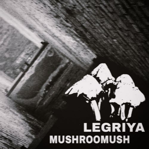 Legriya - Mushroommush (2025) [EP]