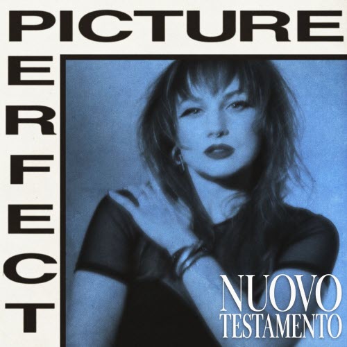 Nuovo Testamento - Picture Perfect (2025) [Single]