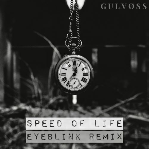 Gulvøss - Speed Of Life (Eyeblink Remix) (2025) [Single]