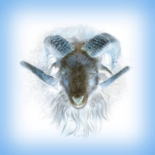 REMINA - In The Loving Arms Of A Heretic (2025)