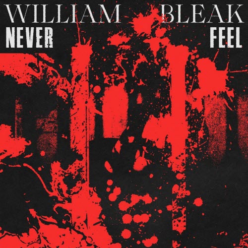 William Bleak - Never Feel (2025) [Single]