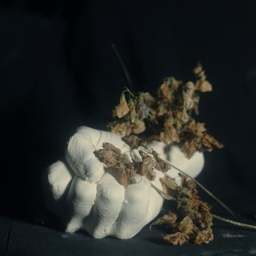 Pain Magazine - Dead Meat (2025) [Single]