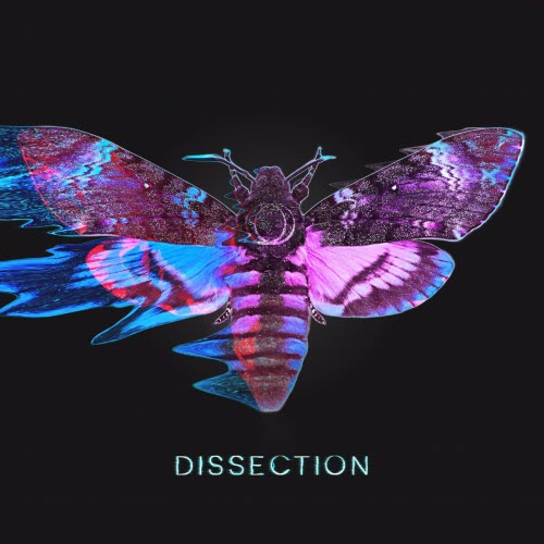 Sun's Spectrum - Dissection (2025) [Single]
