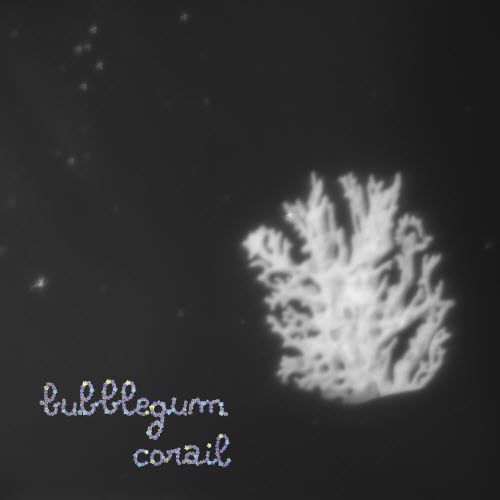 Bubblegum Corail - Bubblegum Corail (2025)