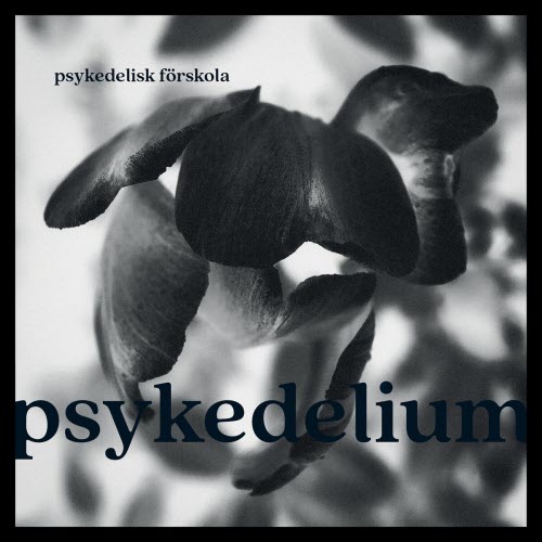 Psykedelisk Förskola - Psykedelium (2025)