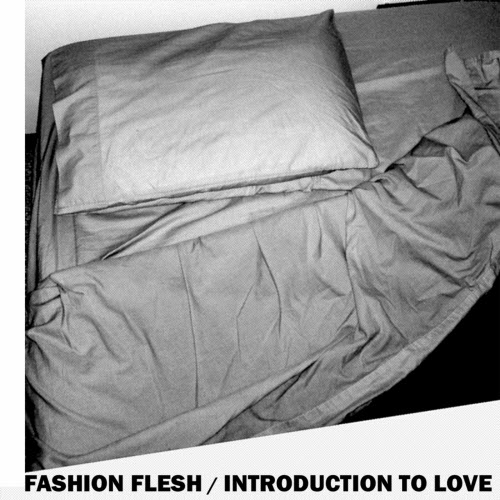 Fashion Flesh - Introduction To Love (2010)
